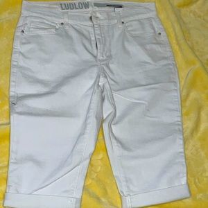 Ludlow capris sz: 6